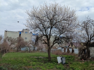 IMG-20250416-WA0033